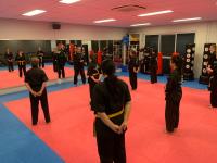 Premier Martial Arts and Fitness Academy  image 1